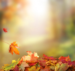 Falling Autumn Leaves background