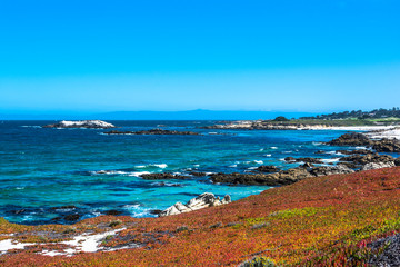 Fototapeta na wymiar Monterey coast, California