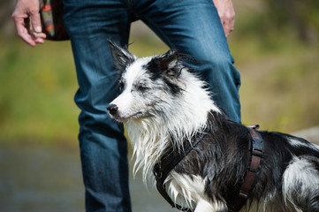 Fototapeta premium Mann mit Hund