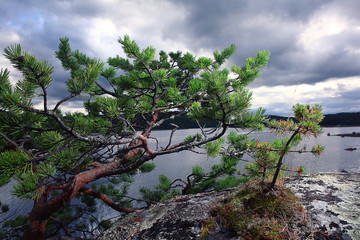 gloomy evening in the mountains