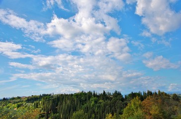 Fototapeta premium cielo azzurro nuvole e bosco