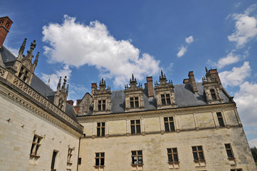 Fototapeta na wymiar Il castello di Amboise - Loira, Francia