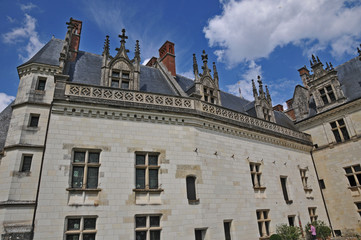Fototapeta na wymiar Il castello di Amboise - Loira, Francia
