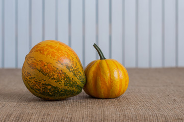Two different pumpkins on sackcloth and white wooden background