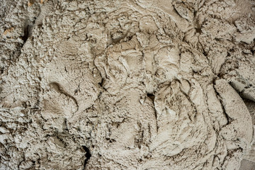 Wet Cement. Wet cement mixed for building