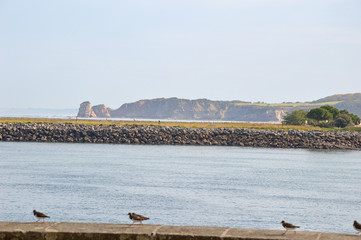 Breakwater
