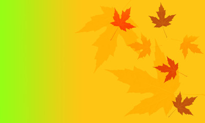 Falling autumn leaves