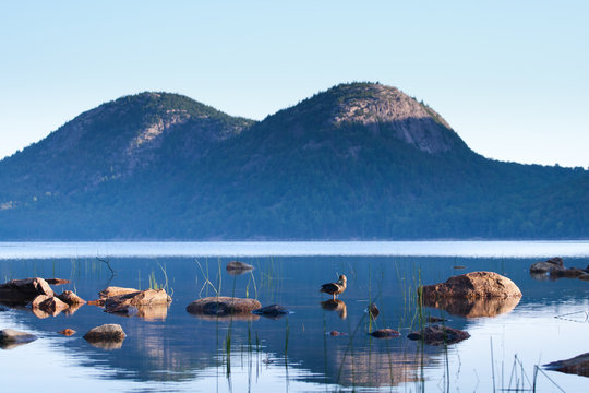 Acadia National Park