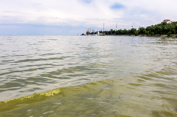 Fototapeta premium Sea