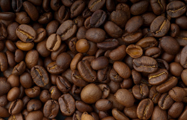 Coffe Beans
