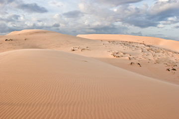 Fototapeta na wymiar Пустыня во Вьетнаме. Белые дюны