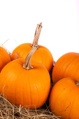 Pumpkins on hay