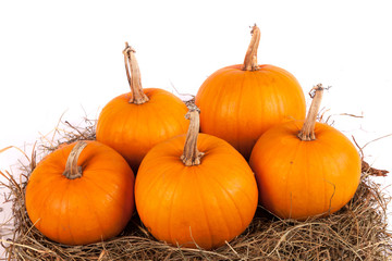 Pumpkins on hay