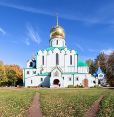 Theodore Sovereign's Cathedral in Pushkin, Russia