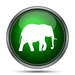 Elephant icon