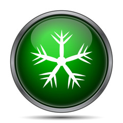 Fototapeta premium Snowflake icon