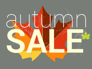 Autumn sale tag, price or discount card. Maple leaf in red, brow