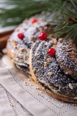 Christmas cake with nuts, poppy and cranberry.