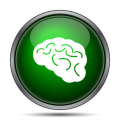 Brain icon
