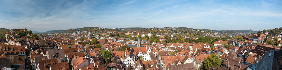 Fototapeta na wymiar Panorama von Tübingen am Neckar