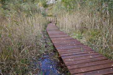 Passerella in legno in palude/parco