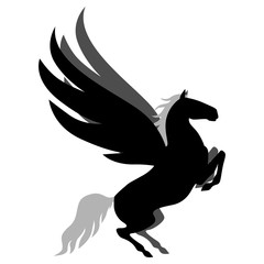 Silhouette pegasus