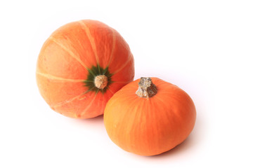 Two pumpkins isolated on a white background couple