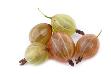 Gooseberry isolated on white background