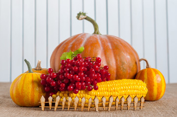 Thanksgiving still life - berries, corn and pumpkins on a table