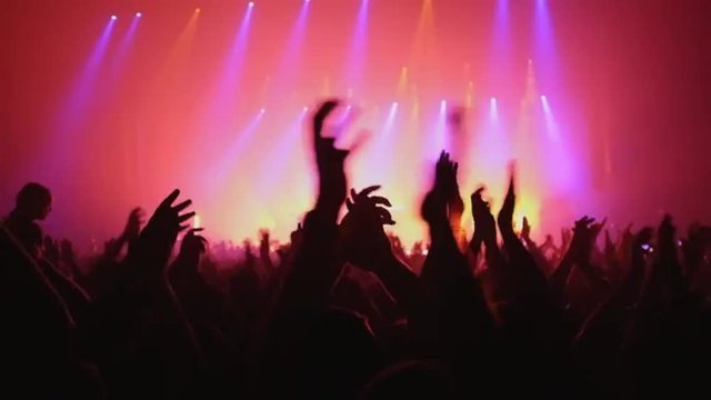 Here is  footage of people crowd partying at a concert or a night club. You can see dark silhouettes dancing, jumping and waving hands in front of stage.