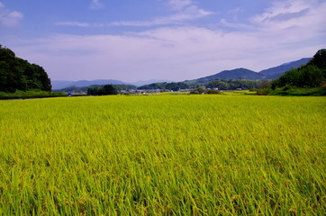 田園風景