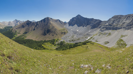 Fototapeta na wymiar Alpine Meadow in the Rocky Mountains Alberta Canada