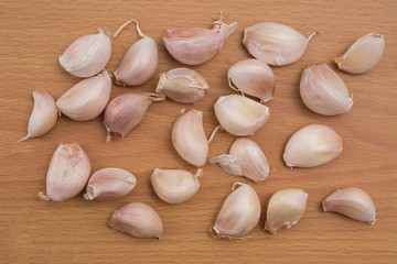 Garlic