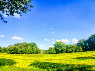 Naklejka premium farmland