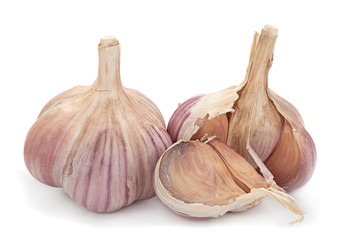 Obraz premium Garlic vegetable on white
