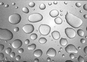 Beauty of the rain drops.