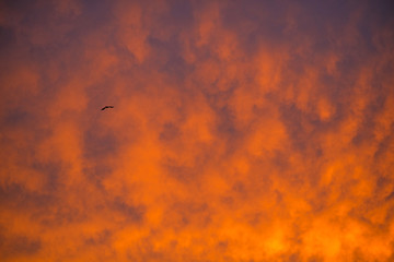 roter Himmel mit schwarzen Wolke