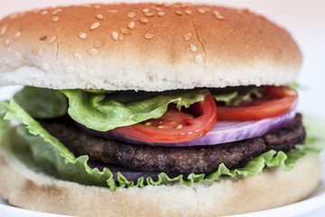 hamburger background