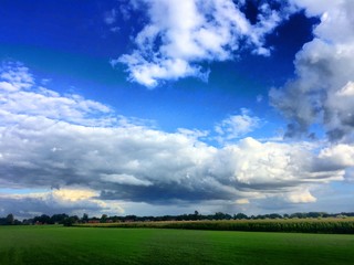 Naklejka premium farmland