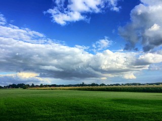 Fototapeta na wymiar blue sky with clouds over green farmland