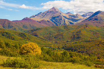 Boschi con colori autunnali nel parco nazionale del Gran Sasso e dei Monti della Laga.