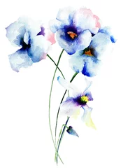 Peel and stick wall murals Pansies Blue pansy flowers