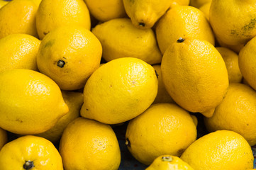 Bunch of lemons in boxes in a market in Provence.