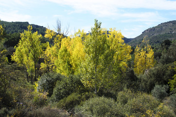 Fototapeta premium comienza el otoño