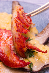 Hummerfleisch mit Hollandaise auf gebratenen Steinpilzen in Nahaufnahme, Silbergabel