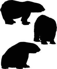 three polar bears isolated black silhouettes