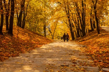 Keuken foto achterwand Herfst Golden autumn in park