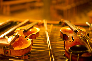 two music string instrument  in gold light