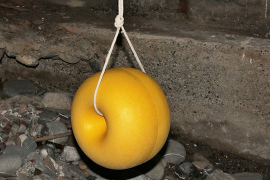 Toroide galleggiante