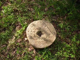 Millstone in woodland